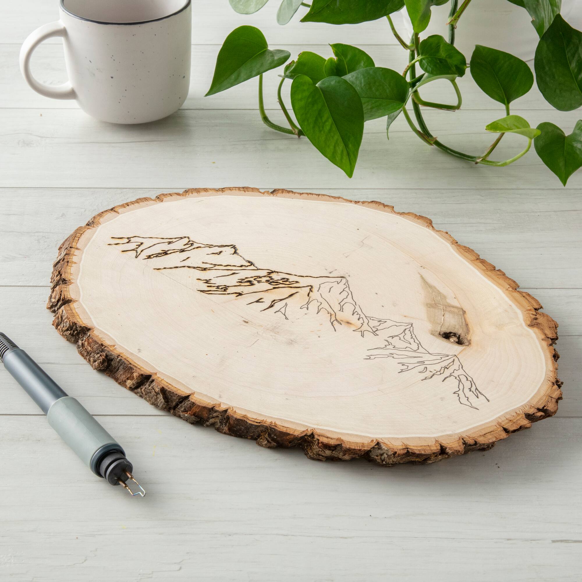 12 Pack: Basswood Round by Make Market